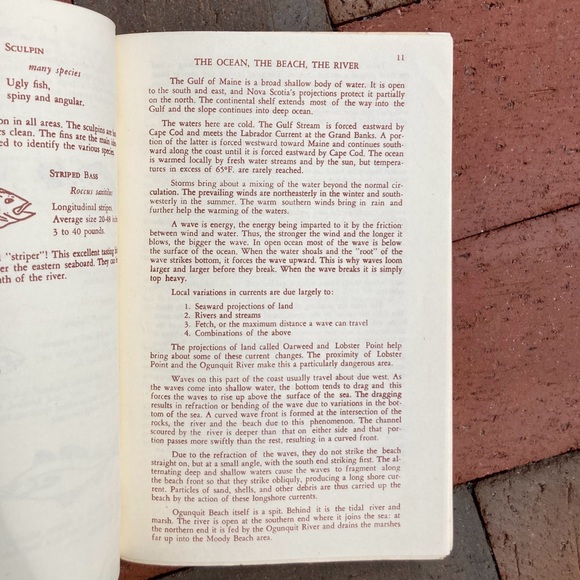1971 Marginal Way Guide To Natural History Of Seacoast Area Maine New England - Picture 7 of 12